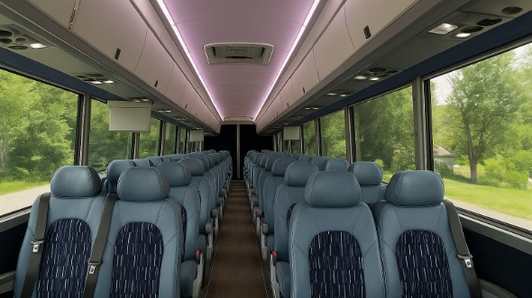 Interior of Colorado Party Bus Company's 35 Passenger Minibus in Colorado