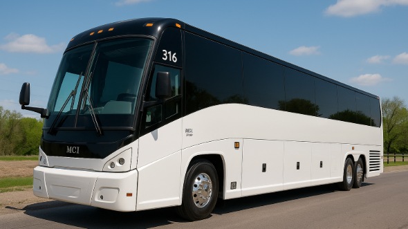colorado birthday sweet 16 party bus rentals